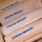 Chayka Odesa