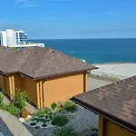 Chayka * Odessa
